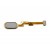 Fingerprint Sensor Flex Cable For Vivo Y69 White By - Maxbhi Com