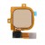 Fingerprint Sensor Flex Cable For Google Nexus 6p Special Edition Gold By - Maxbhi Com