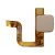 Fingerprint Sensor Flex Cable For Doogee Y6 Max Gold By - Maxbhi Com