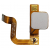 Fingerprint Sensor Flex Cable For Doogee Y6 Max White By - Maxbhi Com