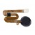 Fingerprint Sensor Flex Cable For 10 Or Tenor E Black By - Maxbhi Com