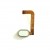 Fingerprint Sensor Flex Cable For Homtom S16 White By - Maxbhi Com