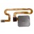 Fingerprint Sensor Flex Cable For Vivo V11 Black By - Maxbhi Com