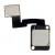 Replacement Back Camera For Apple Ipad Air Wifi With Wifi Only By - Maxbhi Com