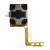 Ear Speaker Flex Cable For Xiaomi Mi Note 10 By - Maxbhi Com