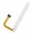 Volume Button Flex Cable For Doogee S98 Pro By - Maxbhi Com