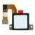 Fingerprint Sensor Flex Cable For Nokia 3 1 Plus White By - Maxbhi Com