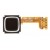 Trackpad For Blackberry Curve 9220 - Maxbhi Com