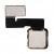 Back Camera Flex Cable For Apple Ipad Air 2 Wifi Cellular 128gb By - Maxbhi Com