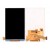 Lcd Screen For Samsung Galaxy V Plus Replacement Display By - Maxbhi Com