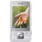 Back Panel Cover for Sony Ericsson C903 - Silver