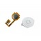 Home Button Flex Cable For Apple iPhone 3, 3G With Menu Button White
