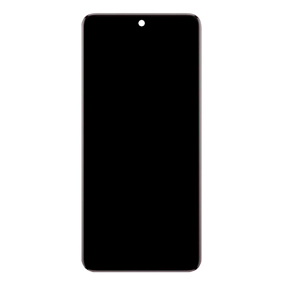 LCD Screen for Vivo V50 - Replacement Display by Maxbhi.com
